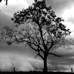 Alerta de chuva forte, vento até 90 km/h e neve nos próximos dias