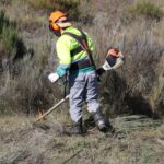 Limpeza de terrenos obrigatória até 31 de maio