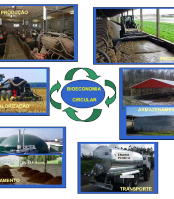 Bioeconomia-circular-e1678970019284