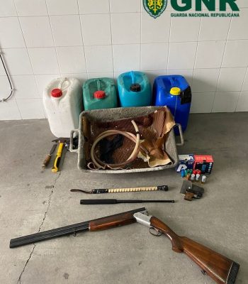 Detencao-por-furto_gnr