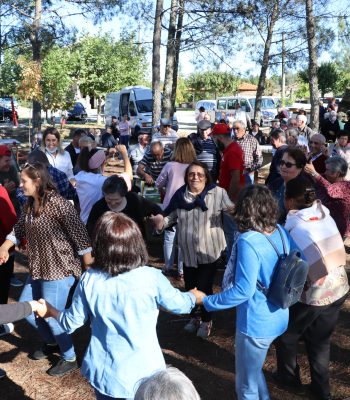 Dia-Internacional-do-Idoso_1