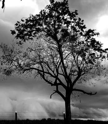 Frente_fria_chegando_com_chuva_torrencial._Nuvens,_vento,_chuva_forte._-_panoramio