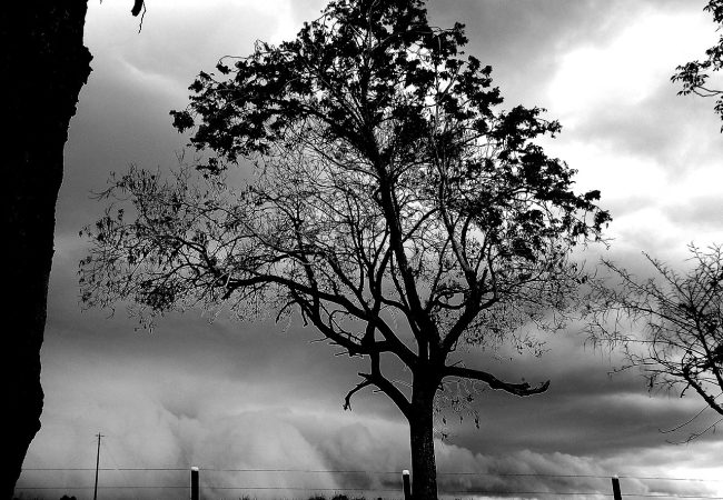 Frente_fria_chegando_com_chuva_torrencial._Nuvens,_vento,_chuva_forte._-_panoramio