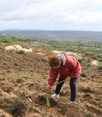 IMG_4334-e1582026126758-scaled