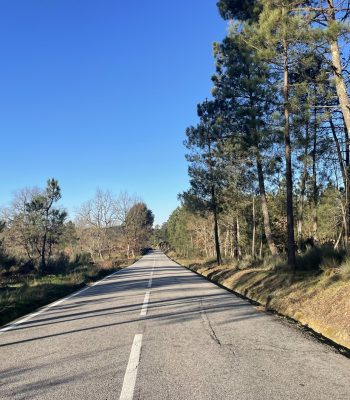 Marcacao-deficiente_estrada-Eirado-scaled