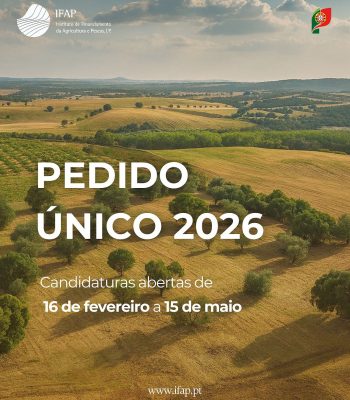 Pedido Único 2026