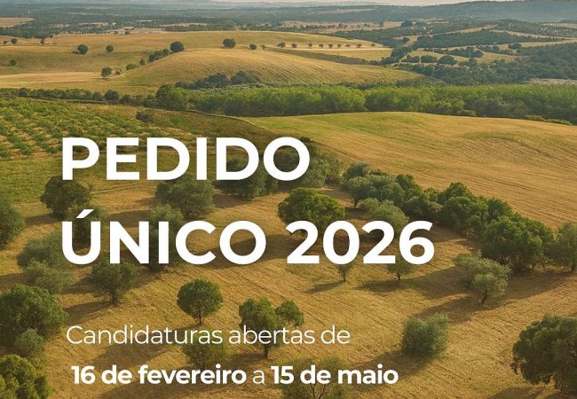 Pedido Único 2026