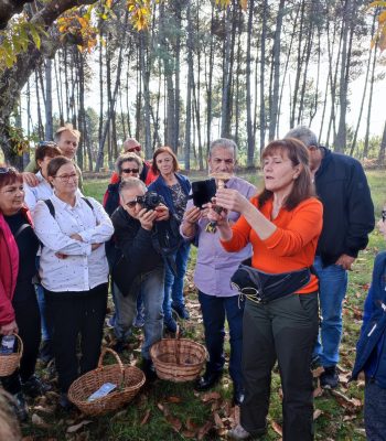 Roteiro-gastronomico-do-miscaro-1