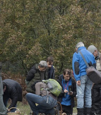 Trabalho-no-campo-scaled