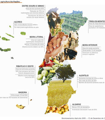 recenseamento-agricola